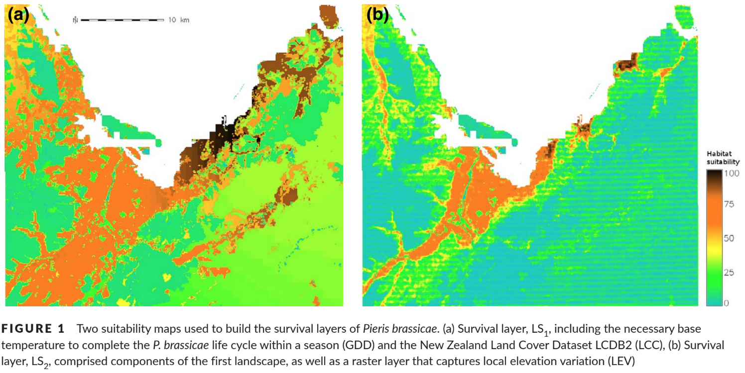 Suitability mapping of large white butterfly