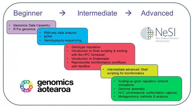 A graphic showing where each course in the NeSI + GA training programme lies in terms of beginner to advanced topics.