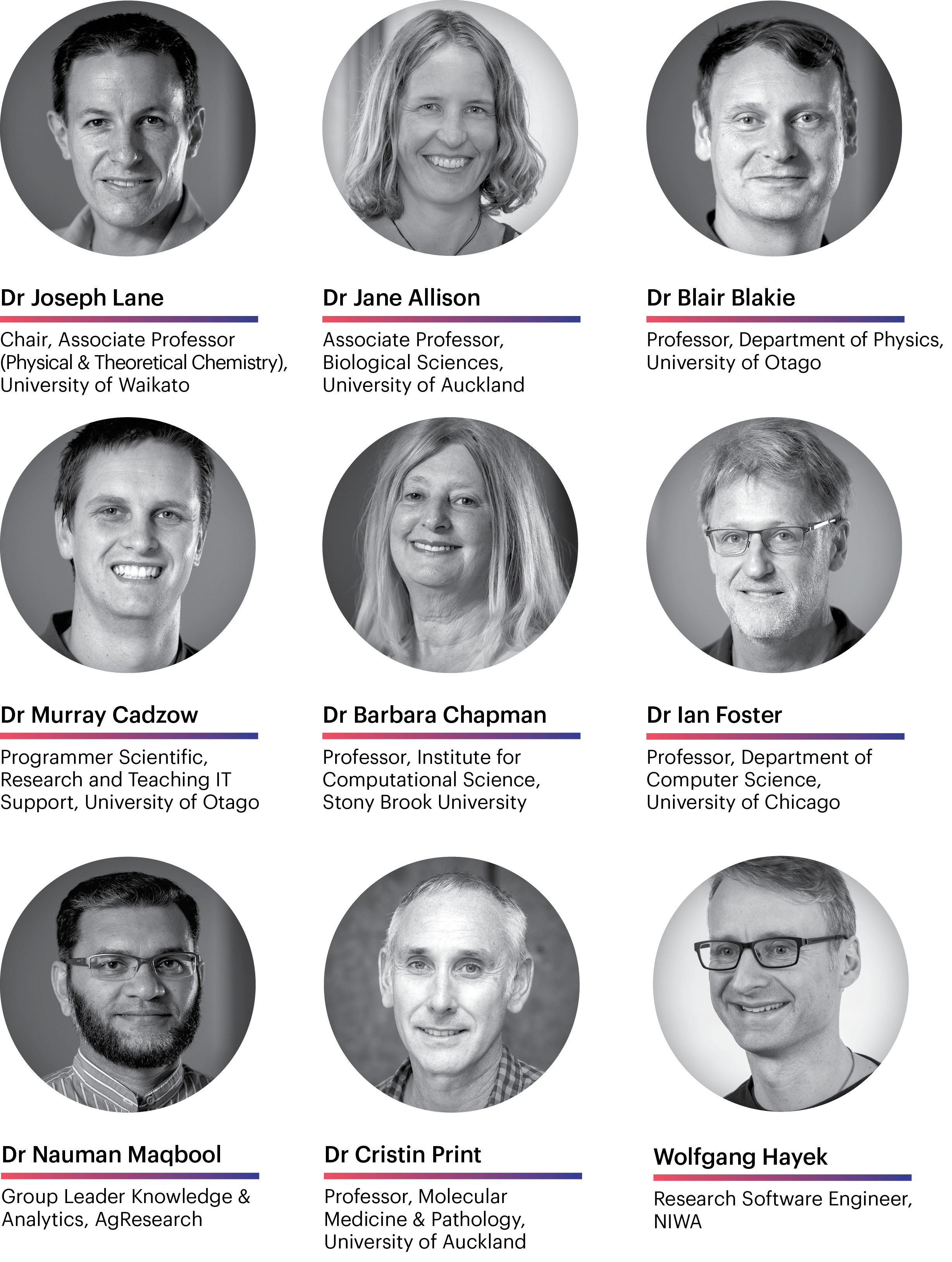 Photos of NeSI's Research Reference Group members