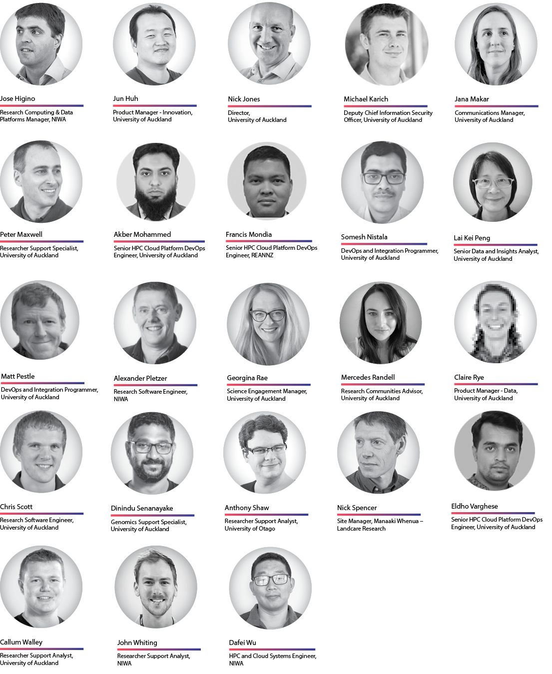 NeSI Team photos. Last names from H to Z.