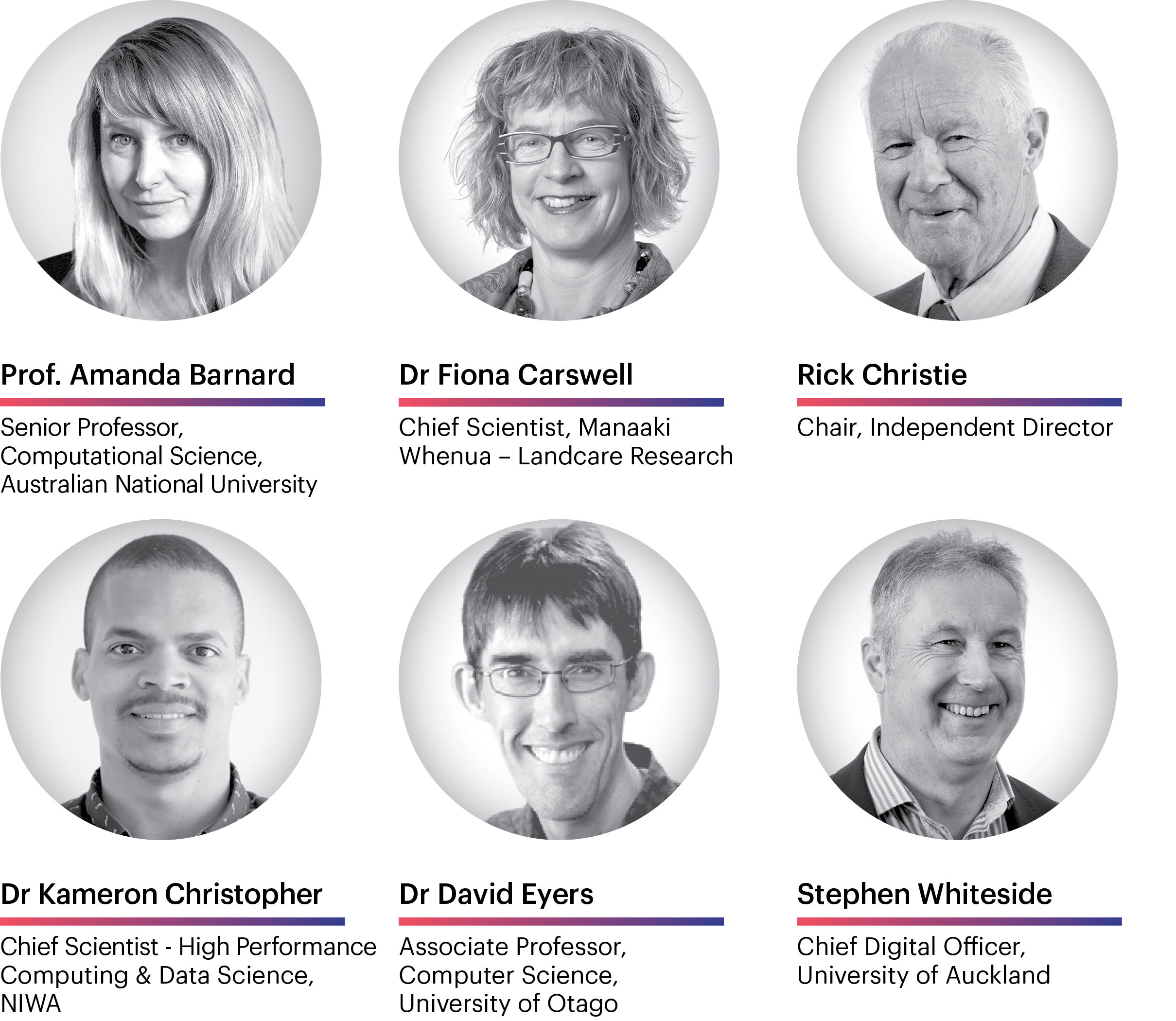 NeSI Board of Directors photos