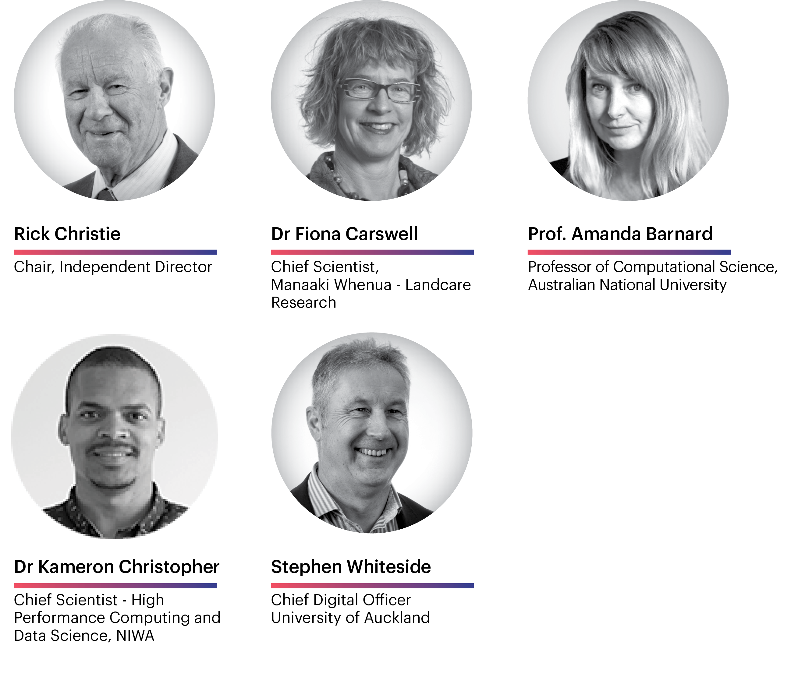 NeSI Board of Directors