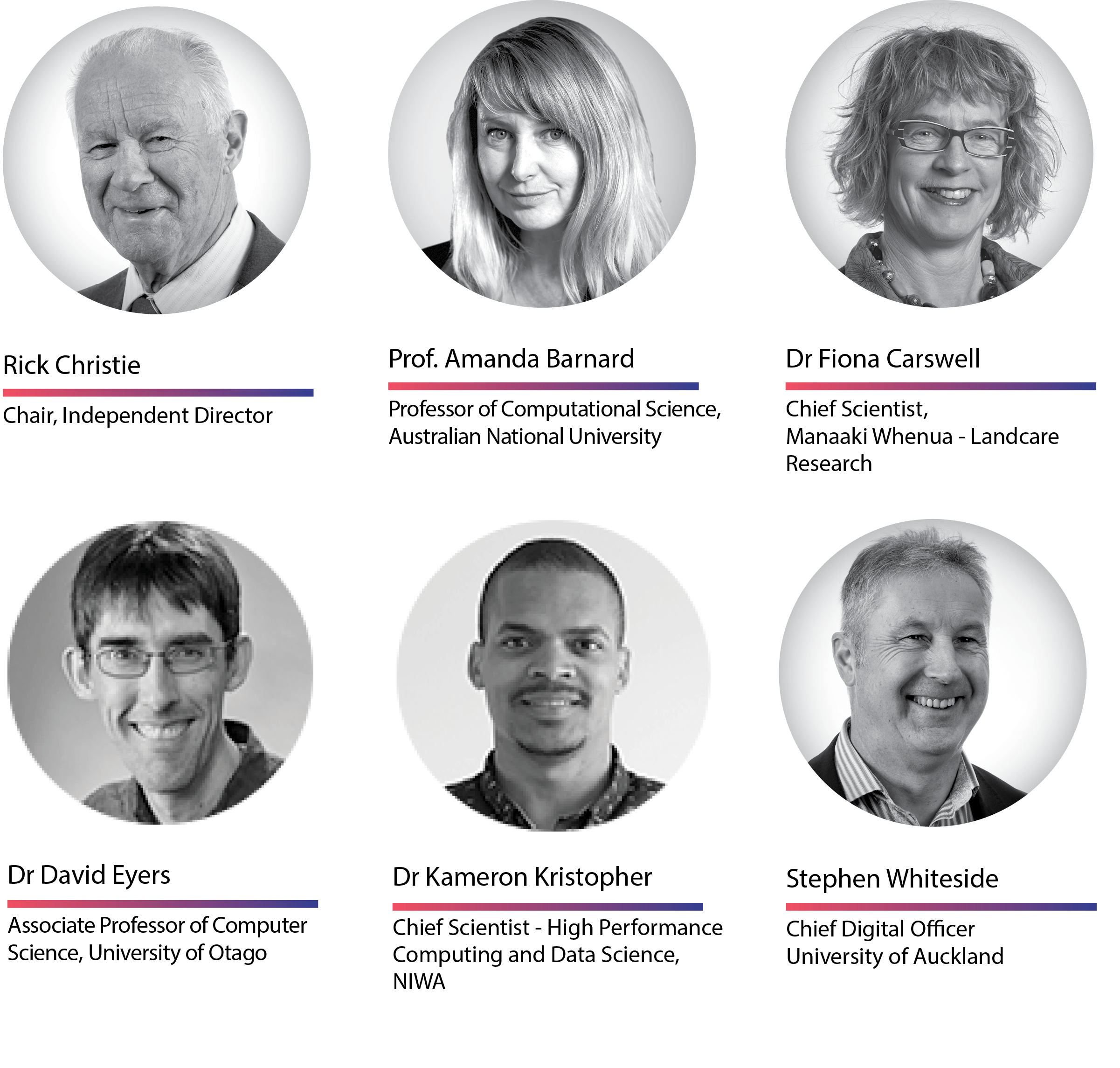 NeSI Board of Directors photos