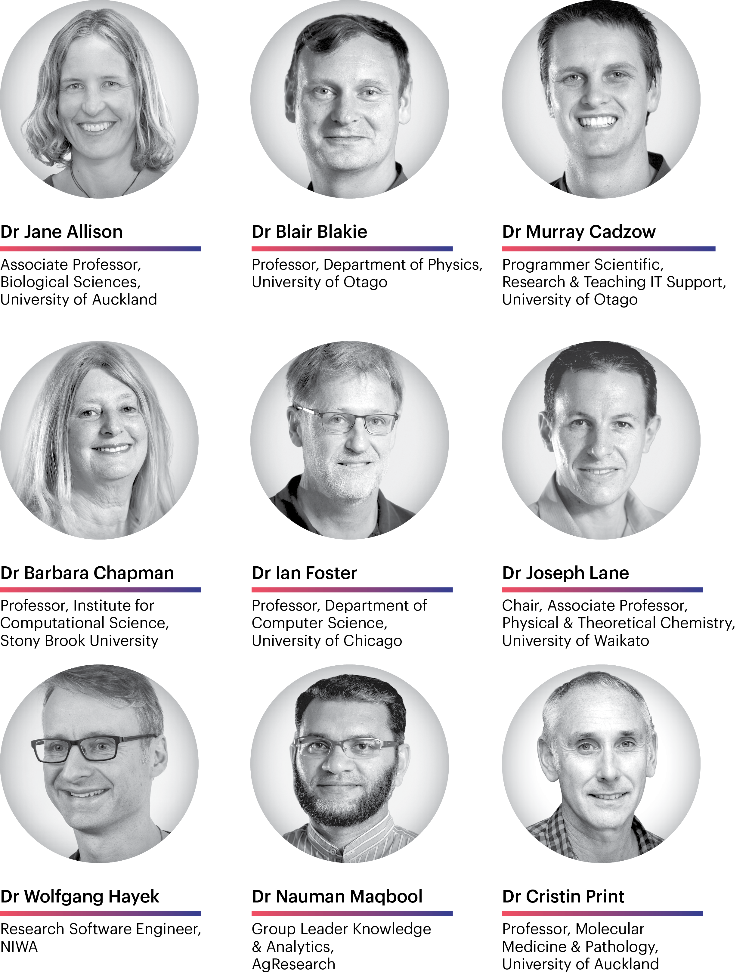 NeSI Research Reference Group photos