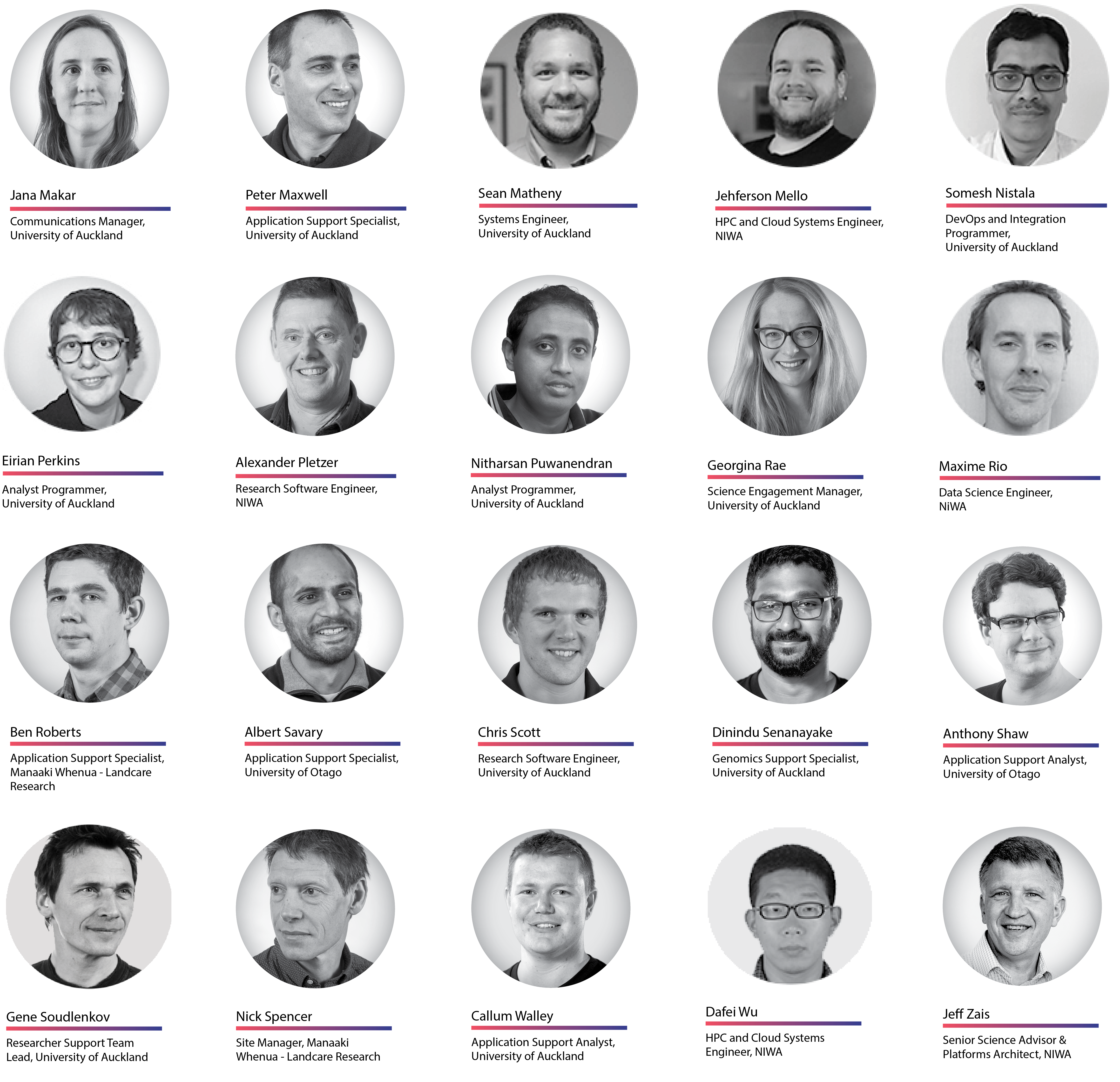 NeSI Team photos. Last names from M to Z.