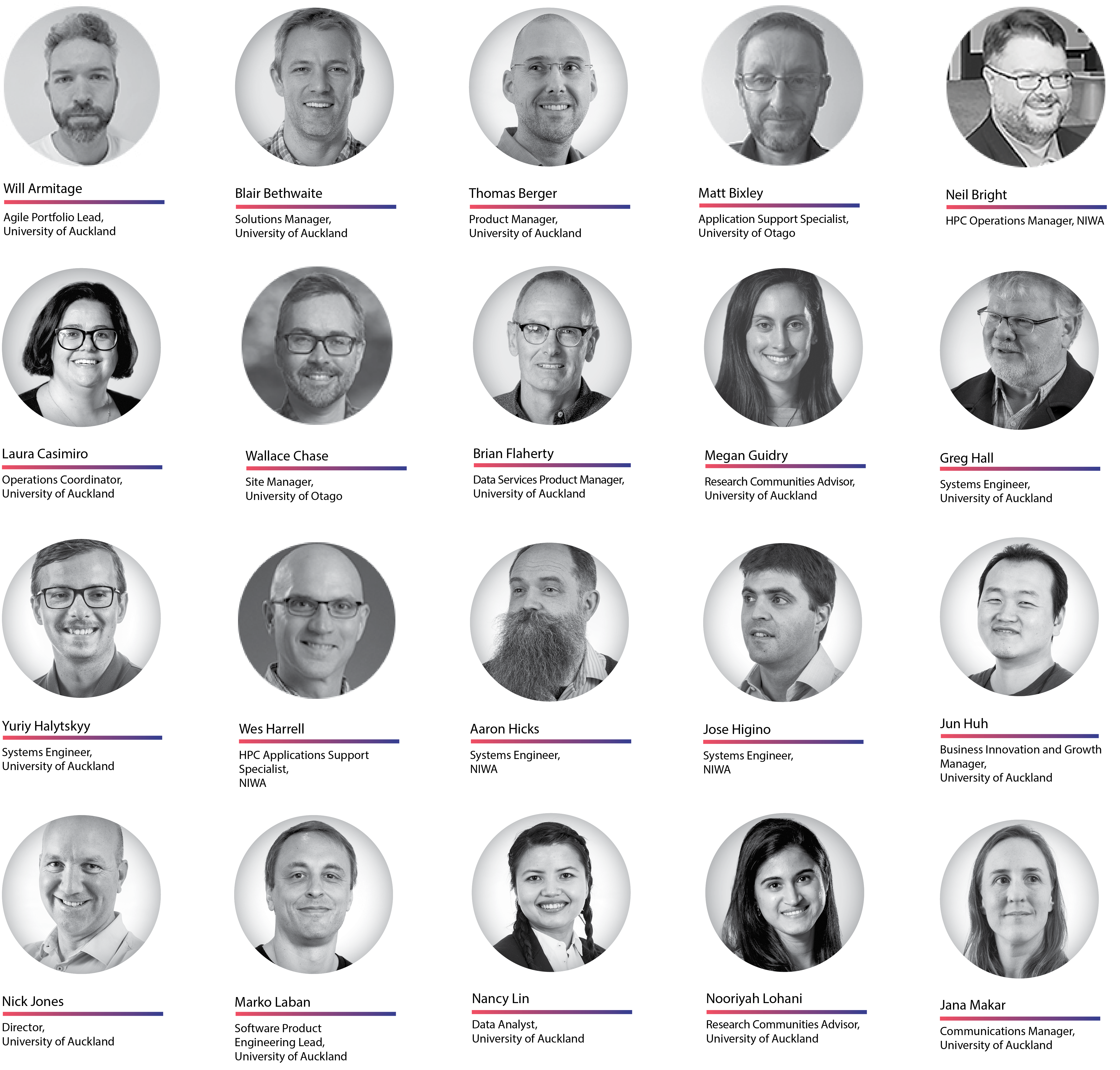 Photos of the NeSI Team