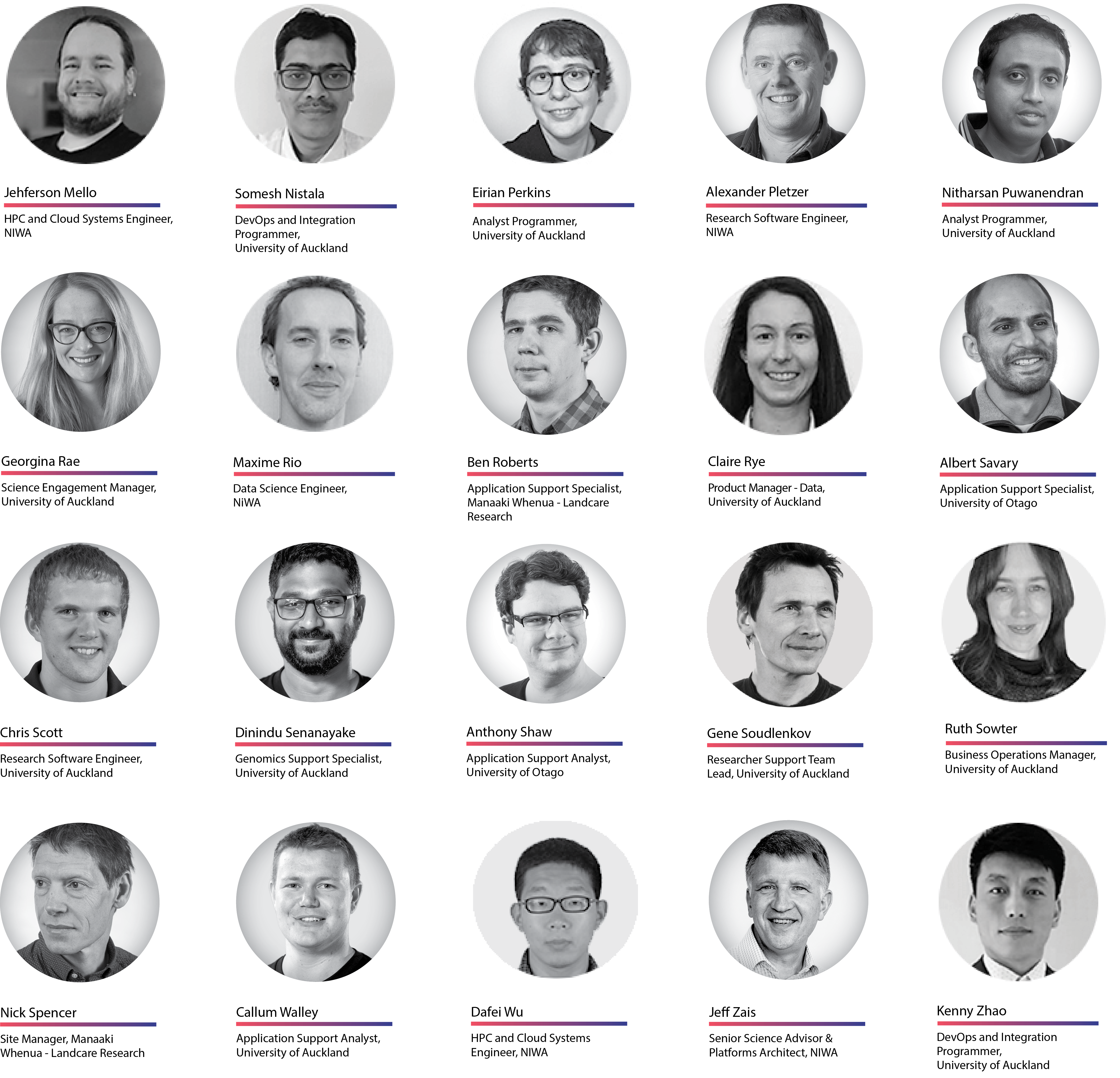 NeSI Team photos. Last names from M to Z.