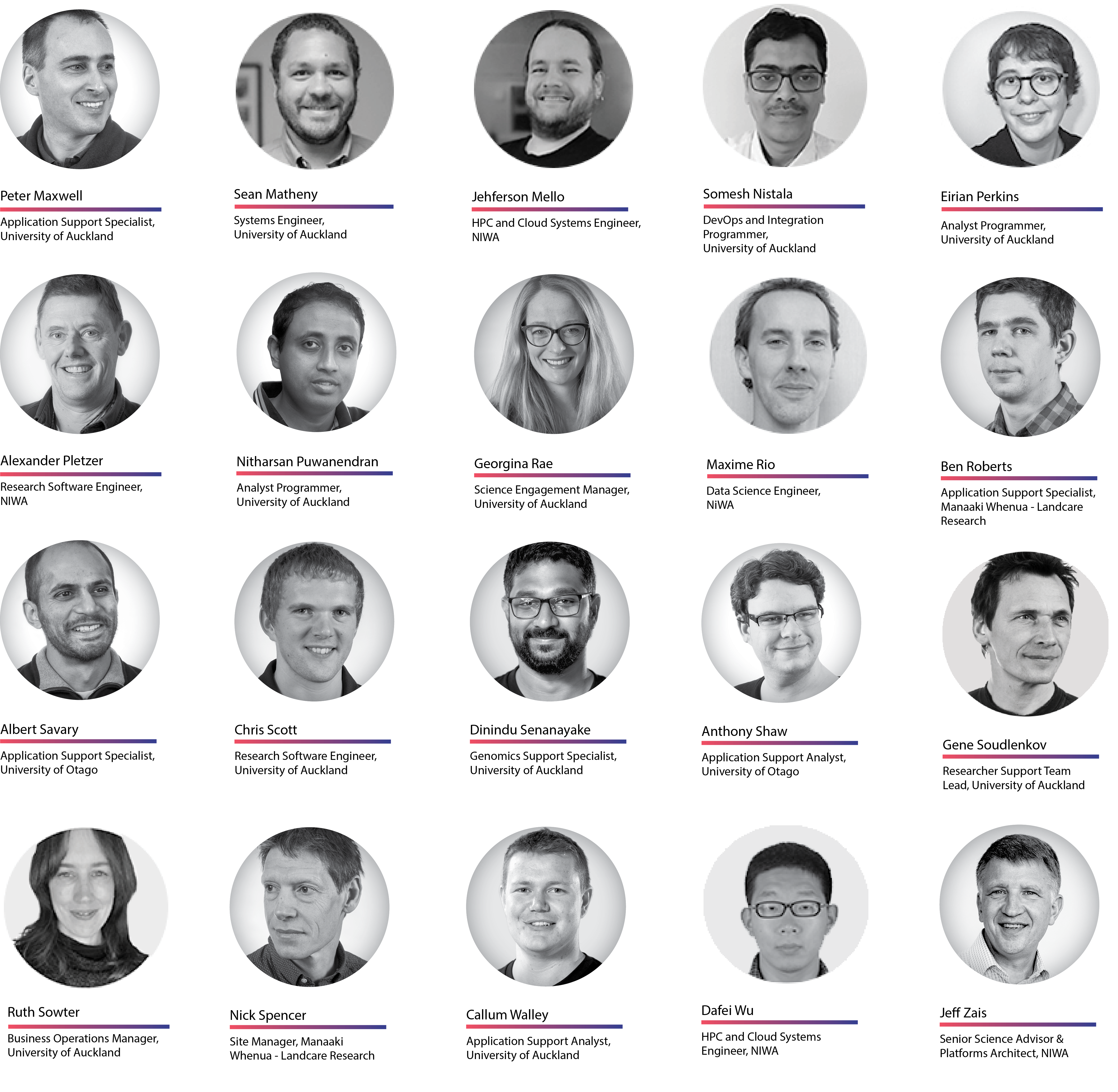 Photos of the NeSI Team
