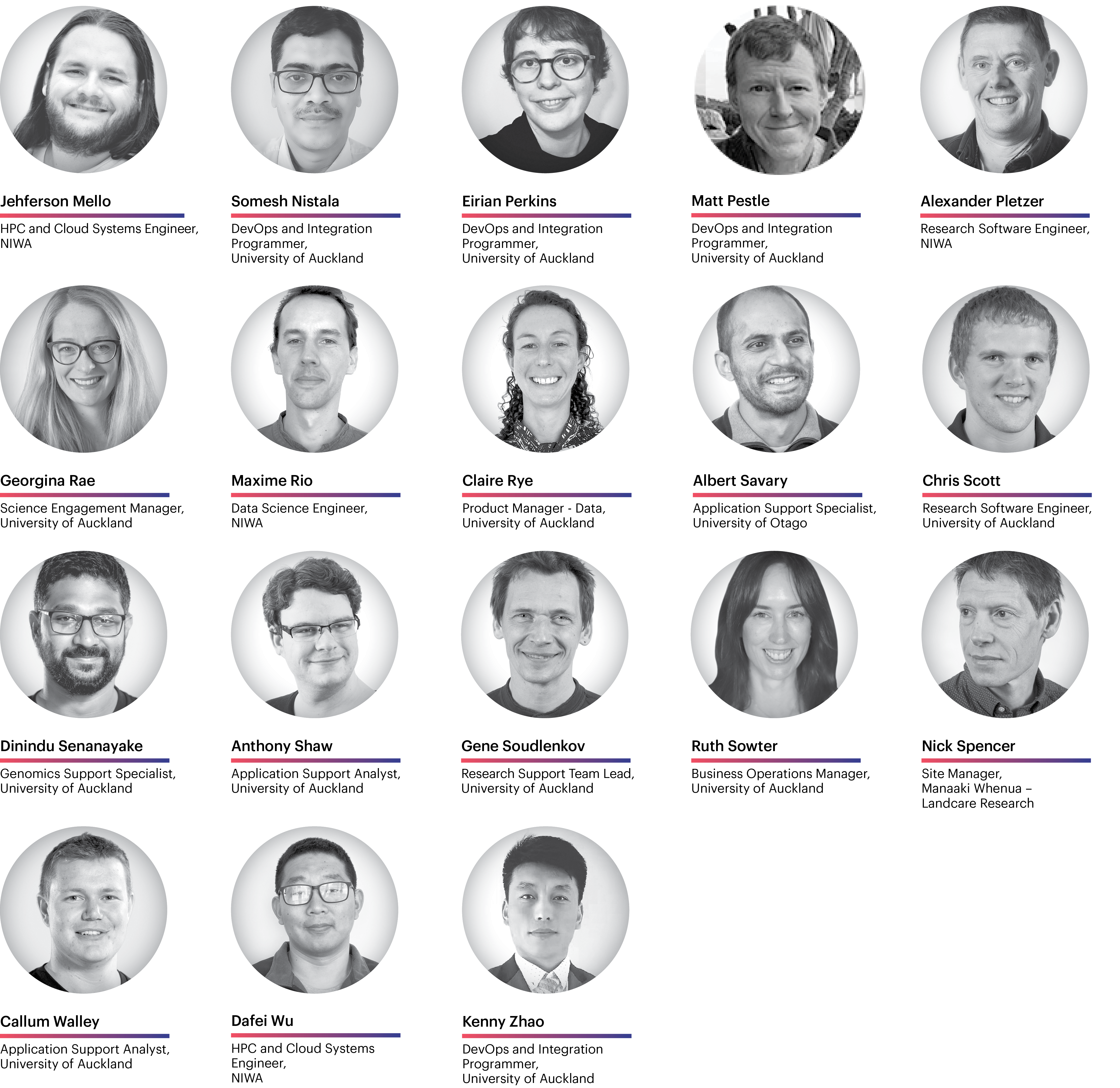 NeSI Team photos. Last names from M to Z.