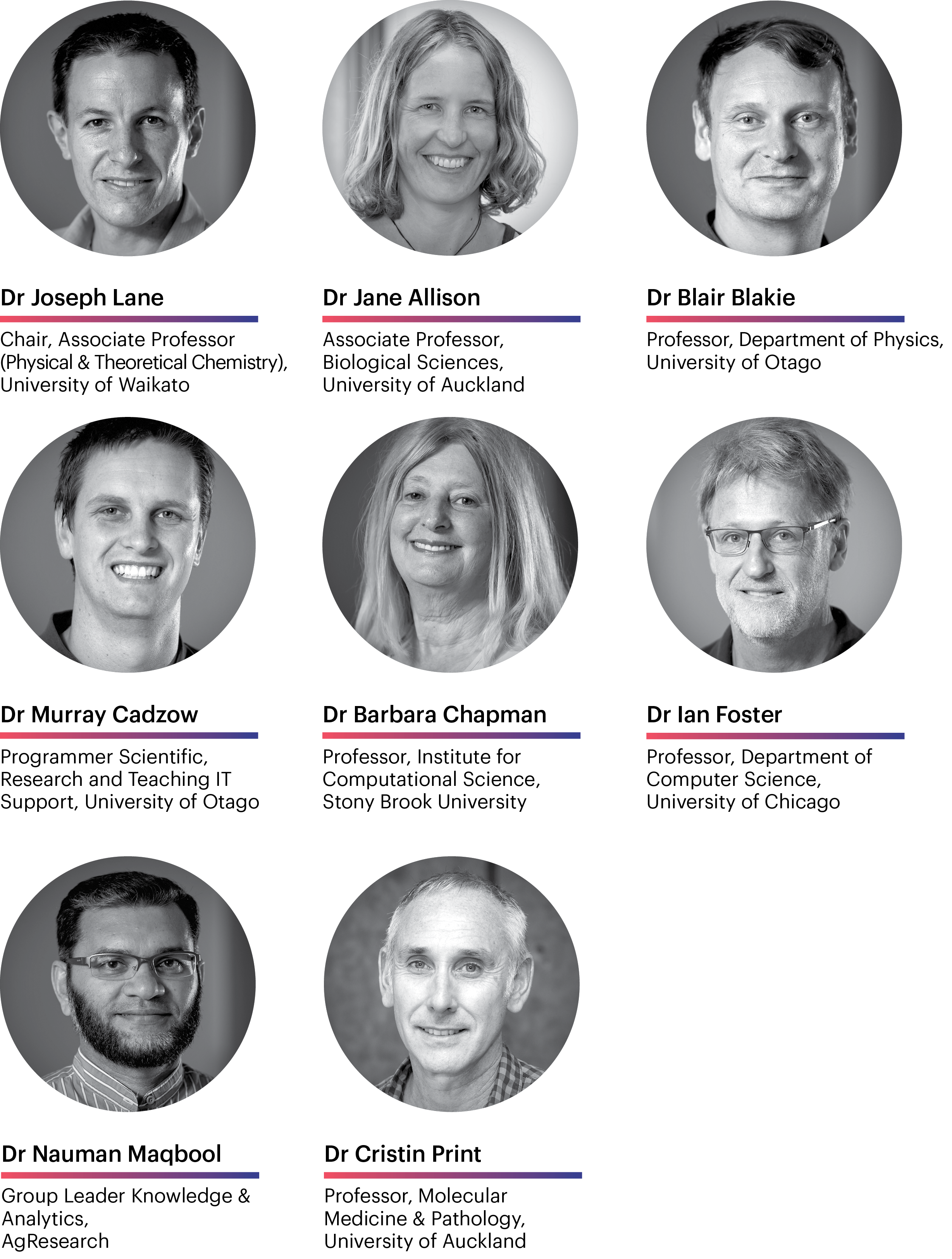 Photos of NeSI's Research Reference Group members