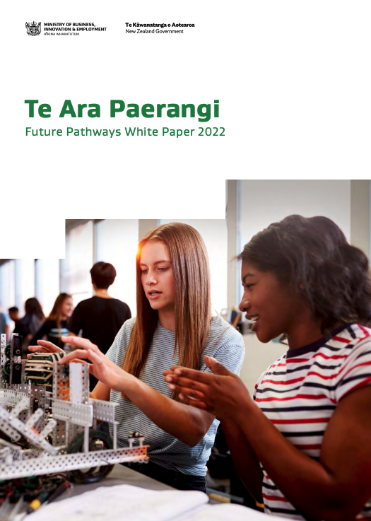 Screenshot of the cover of the Te Ara Paerangi report