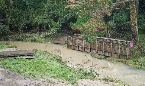 Footbridge damaged by flood, Te Auaunga creek walkway. Auckland 28 January 2023. Photo by Paul Left.