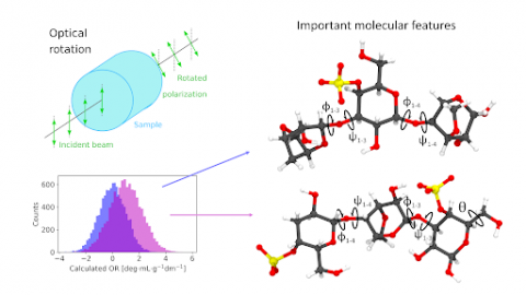 Results from ML-based exploration of optical rotation prediction, with the identification of influential dihedral angles highlighted in the molecular structure on the right.