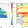 Mean distributions of biomass density of two tuna populations with contrasted life history and spatial dynamics, predicted by the reference SEAPODYM models.