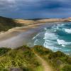 Photo of a New Zealand beach coastline.