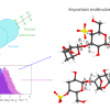 Results from ML-based exploration of optical rotation prediction, with the identification of influential dihedral angles highlighted in the molecular structure on the right.