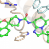 Modelling of a drug bound to the migraine target Calcitonin gene-related peptide