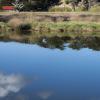 Photo of a riparian strip. Credit Dave Allen, NIWA.